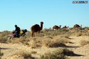 Chott el Djerid - soľné jazero - Na Afrikách do Afriky - Tunisko