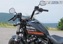 Harley-Davidson Sportster XL 1200XS Forty-Eight Special 2018