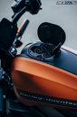 Harley Davidson LiveWire™ 2019