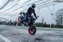 Ducati Monster+ 2021