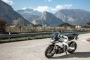 Aprilia Tuono V4 2021