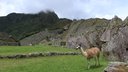 Machu Picchu, Peru