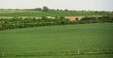 vinohrady nad cestou zo Štefanovej do Doľan