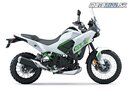 Kawasaki KLE500 SE 2026 - Pearl Blizzard White