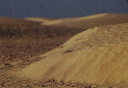 Púšť / Pilgrim ©1999