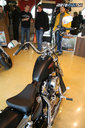 Predstavenie noviniek HD Sportster 72 a Softail Slim v Bratislave