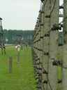 Tábor Auschwitz II Birkenau (Brezinka), Poľsko - oplotenie, v ktorom viedlo vysoké napätie