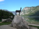 Bohinsko jezero