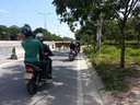 Kravy na ceste v Nha Trang