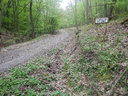 Zaniknuté arborétum Feľata, Slovensko - Bod záujmu