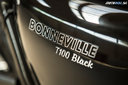 Triumph Bonneville T100 Black 2017