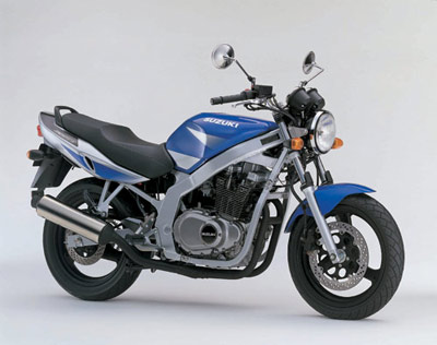 Suzuki GS 500 2002